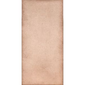 Obklad Stylnul Abadia marron 25x50 cm lesk ABADIAMR