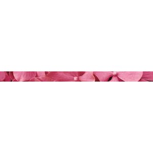 Listela Fineza Velvet růžová Flowers 5x73 cm lesk CFLOWERS