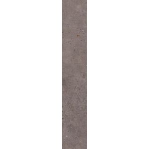 Dlažba Pastorelli Biophilic dark grey 20x120 cm mat P009527